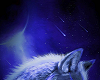 Blue Night Wolf