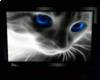 *AKP*Art-Cat Art