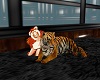 Loving Tiger