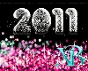 XB- 2011 NEW YEAR ENH