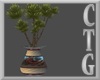 BEL AIR TALL PLANT V2