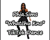 P.S. Whatchu Kno TikTok