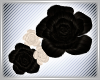 [xo] Black Rose