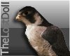 3D falcon (animated)