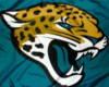 {J} Jaguar Flag 