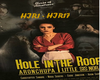 Hole in the roof