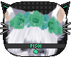 P; Dash Rose Crown 2