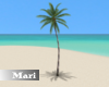 !M! Animated Palm Tree