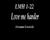 Love Me Harder /Ariana 