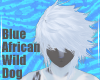 BlueWildDog-MaleHair V2