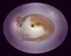Hamster Avatar M/F