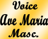 Voice Ave Maria Masc