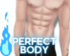 Perfect Body. DK