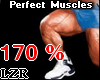 Muscles Legs *PT 170%