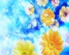 daisy backdrop