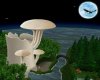 Mushroom Falls
