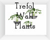 Trefol Wall Plant