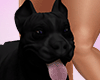 .BLACK PIT.(F)