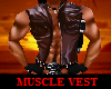 MUSCLE SHIRT/LEATH VEST2