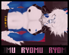 Ryu's Skin