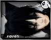 ~Dc) Raven Akita [M]