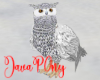 Winter Owl