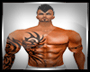 men tigre sexy