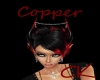 Copper Head Sign