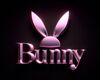 P!NK BUNNY BG