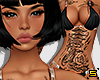 Dragon Full Tattos T5