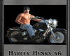 Harley Hunks x6