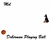 Doberman Playing Ball