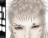 mullet v3