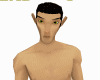 BH AVATAR HEAD 1