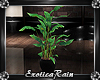 (E)NightOwl: Plant