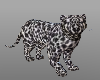 Demoni's Snow Leopard