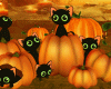 Halloween Cats Pumpkins