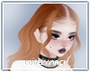 LM | Victoria Pumpkin