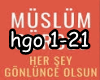 6v3| Hersy Gonlunce Olsn