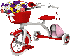 TRICICLO KIDS 40%