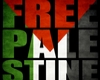 Free Palestine Frame
