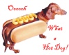 Hot dog dog