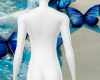 Seashore background