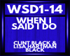 clint black WSD1-14