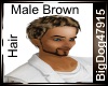 [BD] BrownMaleHair
