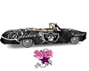 Raiders Low Rider Car