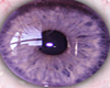 Lilac eyes