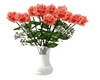 Decorative Roses - SP