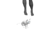 Matth SusiCat