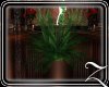 ~Z~ Tropical Plant Fern